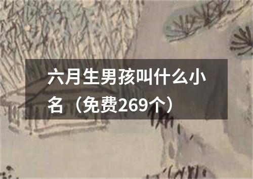 六月生男孩叫什么小名（免费269个）