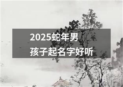 2025蛇年男孩子起名字好听