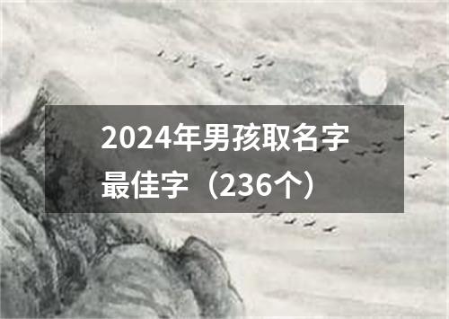 2024年男孩取名字最佳字（236个）