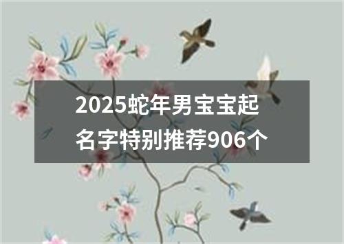 2025蛇年男宝宝起名字特别推荐906个