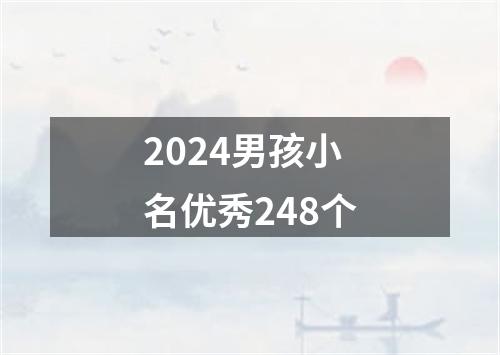 2024男孩小名优秀248个