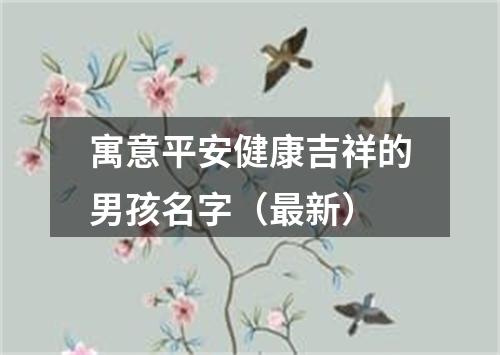 寓意平安健康吉祥的男孩名字（最新）