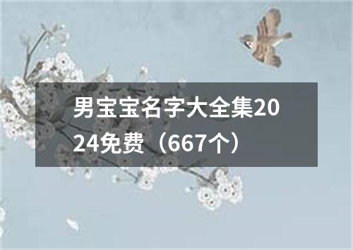 男宝宝名字大全集2024免费（667个）