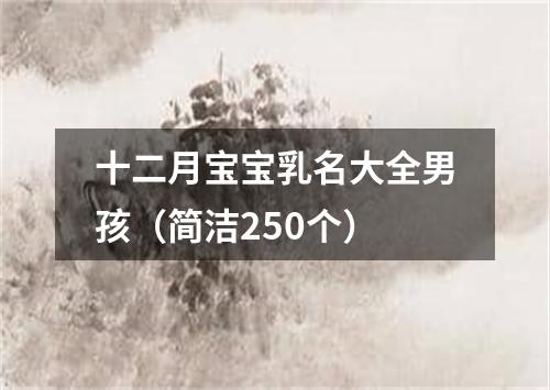 十二月宝宝乳名大全男孩（简洁250个）