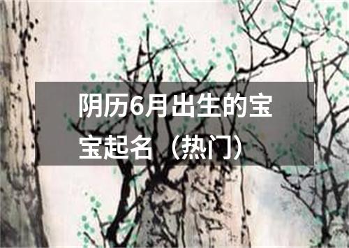 阴历6月出生的宝宝起名（热门）