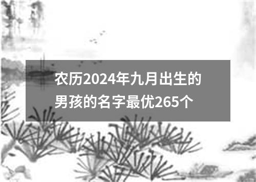 农历2024年九月出生的男孩的名字最优265个