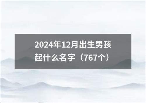 2024年12月出生男孩起什么名字（767个）