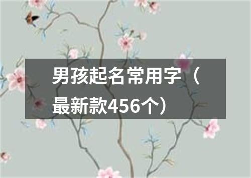 男孩起名常用字（最新款456个）