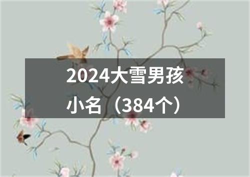 2024大雪男孩小名（384个）