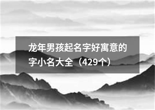 龙年男孩起名字好寓意的字小名大全（429个）