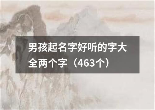 男孩起名字好听的字大全两个字（463个）