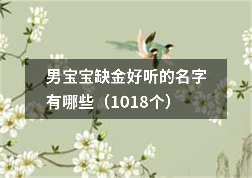 男宝宝缺金好听的名字有哪些（1018个）