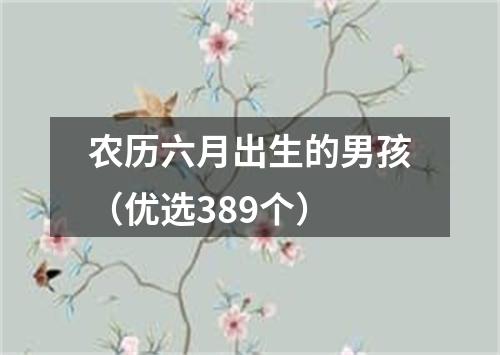 农历六月出生的男孩（优选389个）