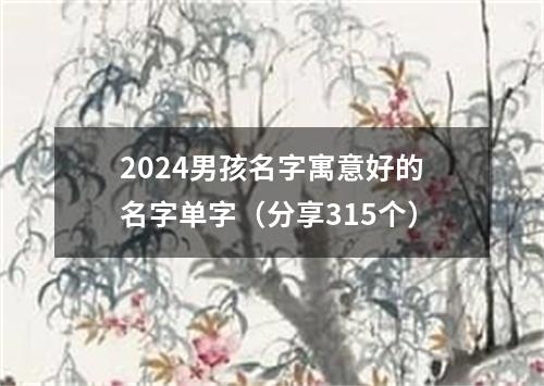 2024男孩名字寓意好的名字单字（分享315个）