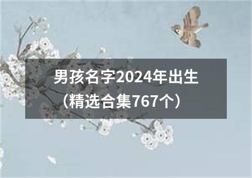 男孩名字2024年出生（精选合集767个）