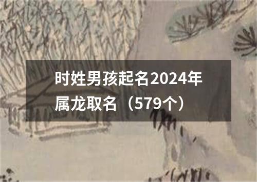 时姓男孩起名2024年属龙取名（579个）