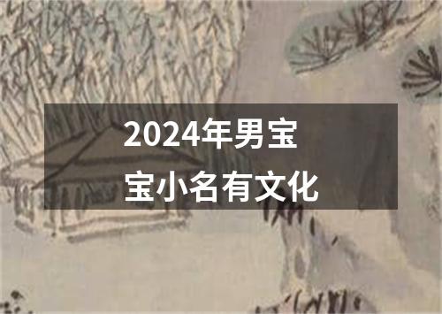 2024年男宝宝小名有文化