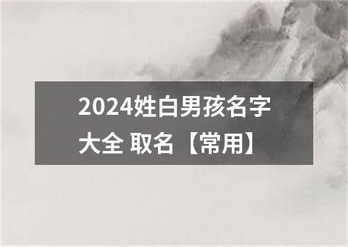 2024姓白男孩名字大全 取名【常用】