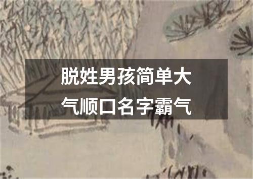 脱姓男孩简单大气顺口名字霸气