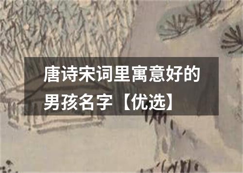 唐诗宋词里寓意好的男孩名字【优选】