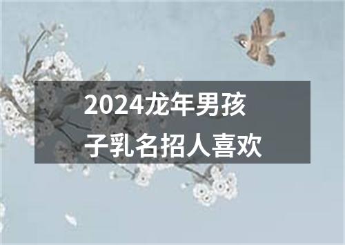 2024龙年男孩子乳名招人喜欢