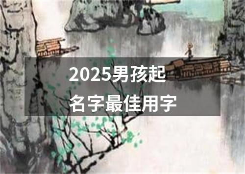 2025男孩起名字最佳用字