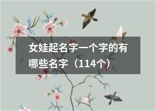 女娃起名字一个字的有哪些名字（114个）