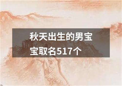 秋天出生的男宝宝取名517个