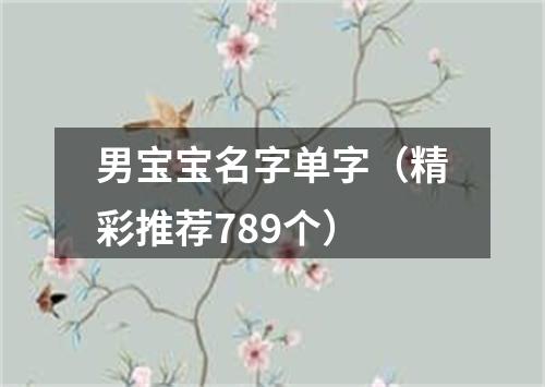 男宝宝名字单字（精彩推荐789个）