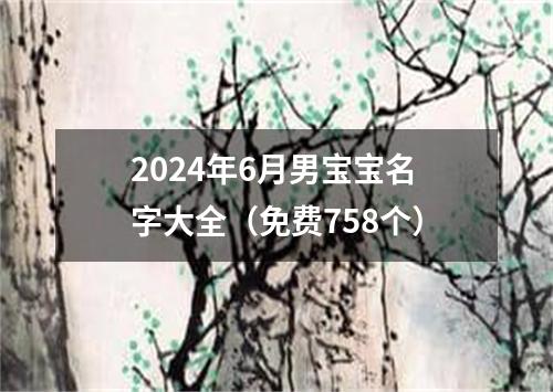 2024年6月男宝宝名字大全（免费758个）