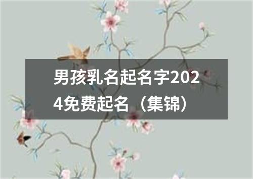 男孩乳名起名字2024免费起名（集锦）