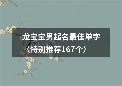 龙宝宝男起名最佳单字（特别推荐167个）