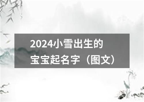 2024小雪出生的宝宝起名字（图文）