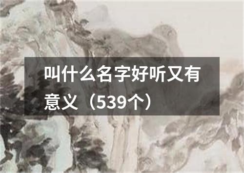 叫什么名字好听又有意义（539个）