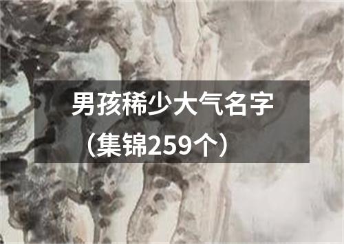 男孩稀少大气名字（集锦259个）