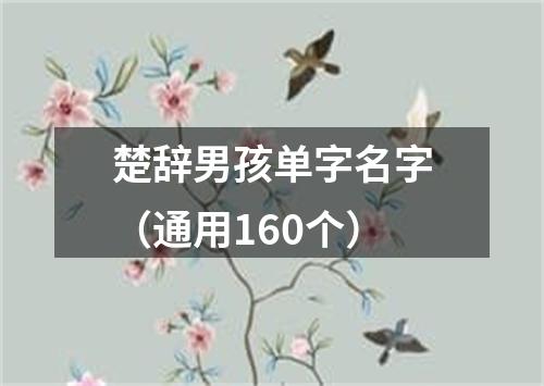 楚辞男孩单字名字（通用160个）