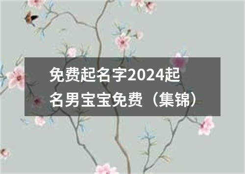 免费起名字2024起名男宝宝免费（集锦）