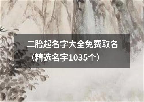 二胎起名字大全免费取名（精选名字1035个）