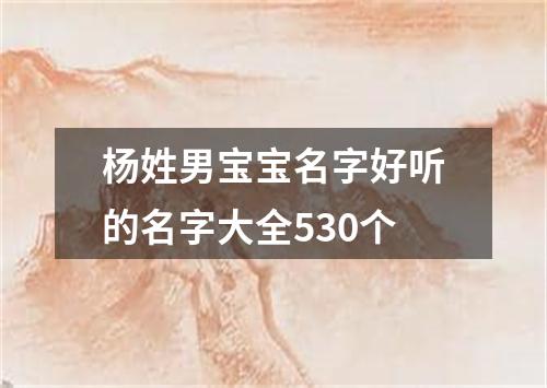 杨姓男宝宝名字好听的名字大全530个