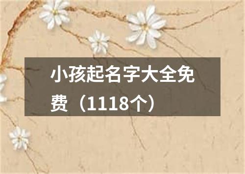 小孩起名字大全免费（1118个）