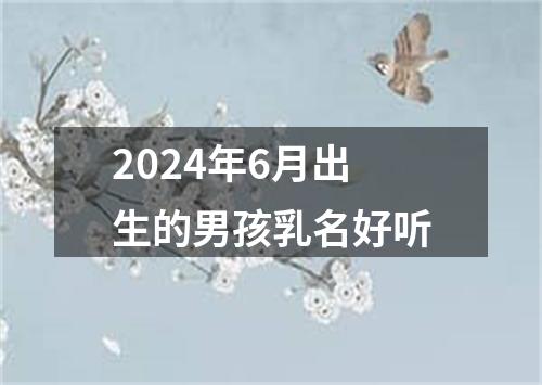 2024年6月出生的男孩乳名好听