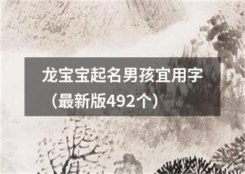 龙宝宝起名男孩宜用字（最新版492个）