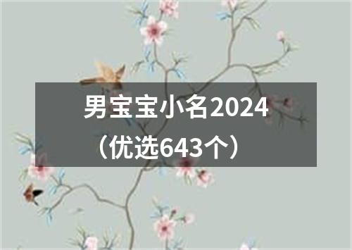 男宝宝小名2024（优选643个）