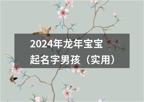 2024年龙年宝宝起名字男孩（实用）