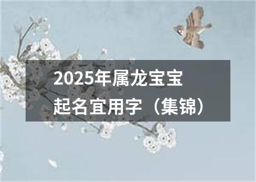 2025年属龙宝宝起名宜用字（集锦）