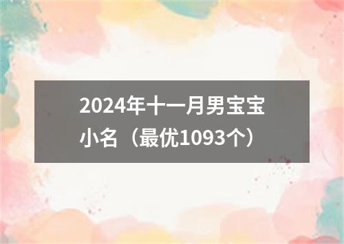 2024年十一月男宝宝小名（最优1093个）