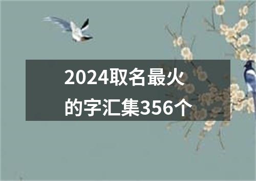 2024取名最火的字汇集356个