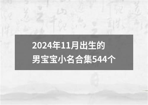 2024年11月出生的男宝宝小名合集544个