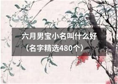 六月男宝小名叫什么好（名字精选480个）