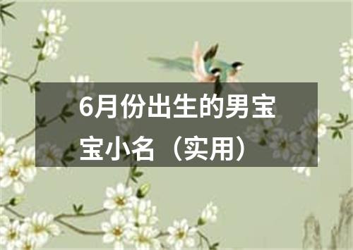 6月份出生的男宝宝小名（实用）